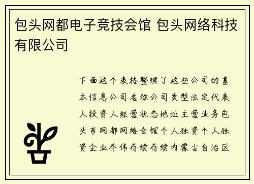 包头网都电子竞技会馆 包头网络科技有限公司